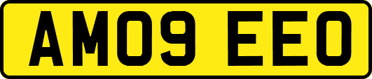 AM09EEO