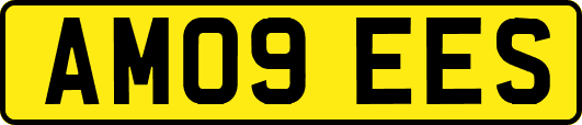 AM09EES