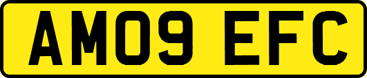 AM09EFC