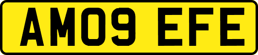 AM09EFE