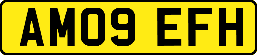 AM09EFH