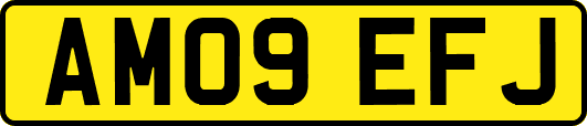 AM09EFJ