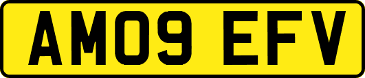 AM09EFV