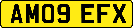 AM09EFX