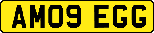 AM09EGG