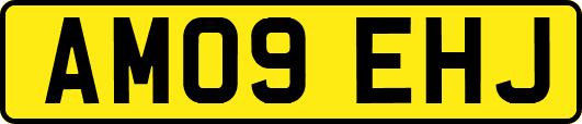 AM09EHJ