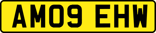 AM09EHW