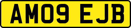 AM09EJB