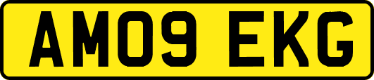 AM09EKG