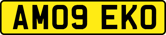 AM09EKO