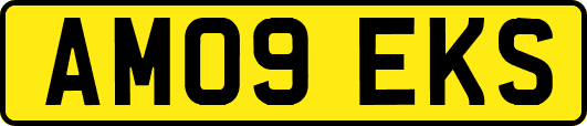 AM09EKS