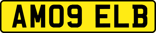 AM09ELB