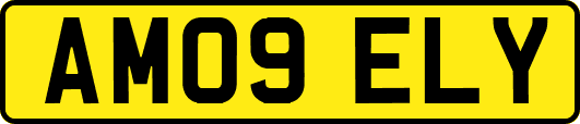 AM09ELY