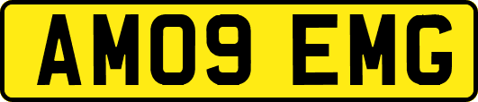 AM09EMG