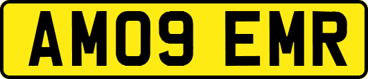 AM09EMR