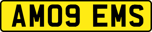 AM09EMS
