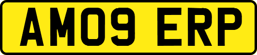AM09ERP