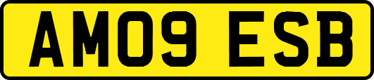 AM09ESB