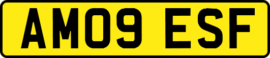 AM09ESF