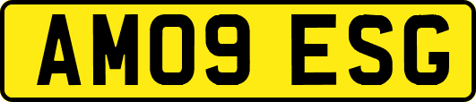 AM09ESG