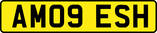 AM09ESH