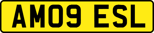 AM09ESL