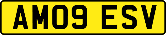 AM09ESV