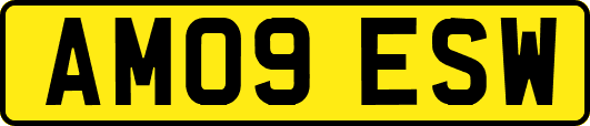 AM09ESW