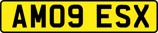 AM09ESX