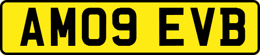 AM09EVB