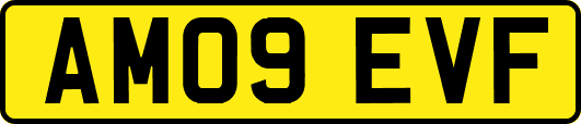 AM09EVF