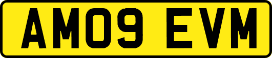 AM09EVM