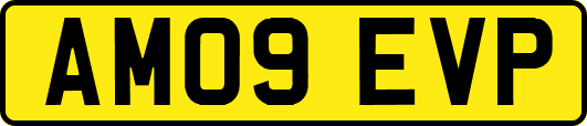 AM09EVP