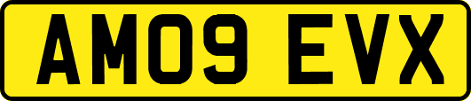 AM09EVX