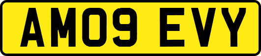 AM09EVY
