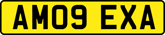 AM09EXA