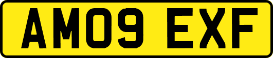AM09EXF