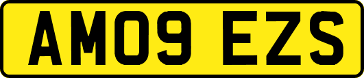 AM09EZS