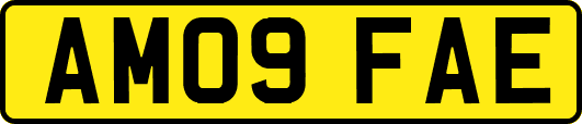 AM09FAE