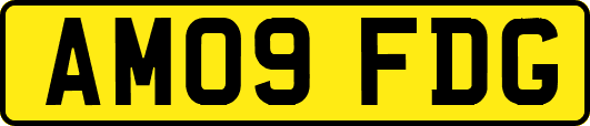 AM09FDG