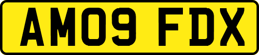 AM09FDX