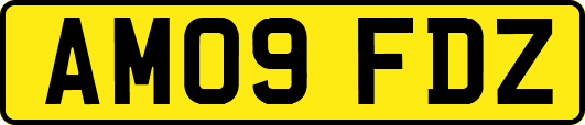 AM09FDZ