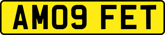 AM09FET