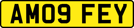 AM09FEY