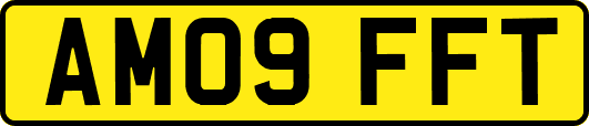 AM09FFT