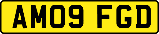 AM09FGD