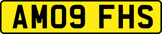 AM09FHS