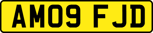 AM09FJD