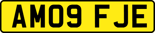 AM09FJE