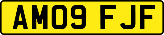AM09FJF